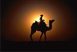 Silhouette d'homme monté de chameau au coucher du soleil, Jaisalmer, Inde