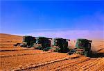 Combines in Field