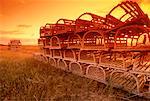 Lobster Traps in Field at Sunrise Seacow Pond Prince Edward Island, Canada