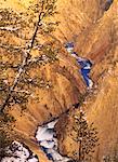 Yellowstone River Grand Canyon du Yellowstone Parc National de Yellowstone au Wyoming, USA