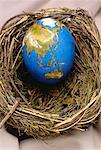 Egg Globe in Nest Asia and Australia