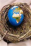 Egg Globe in Nest Europe and Africa