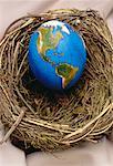 Egg Globe in Nest North and South America