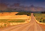 Schotterstraße und Landschaft Pereau, Nova Scotia, Kanada