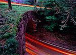 Light Trails auf Newfound Gap Road Great-Smoky-Mountains-Nationalpark, Tennessee, USA