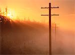 Silhouette de postes téléphoniques au coucher du soleil près de Ardrossan, Alberta, Canada