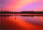 Grosbeak Lake at Sunrise Wood Buffalo National Park Alberta, Canada