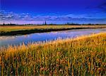 Salt Creek at Dawn Wood Buffalo National Park Alberta, Canada