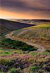 Kurvenreiche Straße bei Sonnenuntergang in der Nähe von Walla Walla Washington State, USA