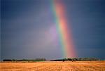 Rainbow over Field Saskatchewan, Canada