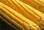 Close-Up of Cobs of Corn