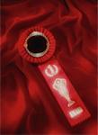 Rote Hauptpreis Ribbon