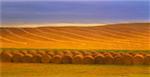 Balles de foin près de Consort, Alberta, Canada