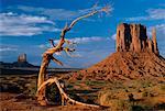 Mitten Butte Monument Valley, Arizona, USA