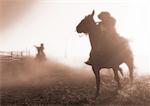 Cowboys avec Lassos à cheval