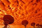 Radio Telescopes at Sunset