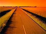 Road at Sunset Nesbitt, Manitoba, Canada