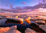 Vogel Cove bei Sonnenaufgang Hudson Bay, Manitoba, Kanada