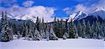 Forêt et les montagnes en hiver le Parc National Yoho en Colombie-Britannique, Canada