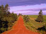 Route rurale près de Hunter River, île du Prince Édouard, Canada