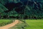 Woman Riding Bicycle on Dirt Road Nha Trang, Vietnam