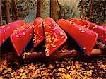 Overturned Canoes in Autumn Wells Gray Park British Columbia, Canada