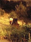 Mature Woman in Garden Greece