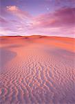 Great Sandhills au lever du soleil en Saskatchewan, Canada