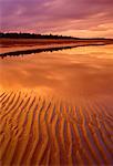 Naikoon Provincial Park at Sunset Queen Charlotte Islands British Columbia, Canada