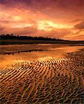 Naikoon Provincial Park at Sunset Queen Charlotte Islands British Columbia, Canada