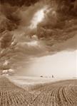 Storm Clouds over Field Alberta, Canada