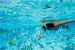 Vue sous-marine Snorkeler et poisson, lagon Aitutaki, îles Cook