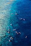 Aerial View of People Swimming Heron Island, Queensland Australia