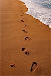 Footprints and Star Fish on Beach North Shore, Oaun, Hawaii, USA