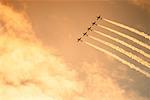 Snowbirds Rothirsch International Air Show Red Deer, Alberta, Kanada