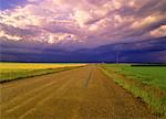 Übergabe von Sturm und Canola-Feld in der Nähe von Three Hills, Alberta, Kanada