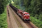 Train near Revelstoke British Columbia, Canada