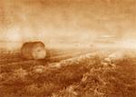 Hay Bales and Fog Near Lacombe, Alberta, Canada