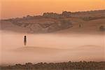 Zypressen und Nebel bei Sonnenaufgang in der Nähe von Pienza, Toskana, Italien