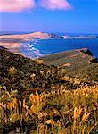 Cape Reinga Walkway, Tasman Sea Motuopao Island, l'île du Nord Nouvelle Zélande