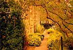 Walkway Through Garden San Antonio, Texas, USA