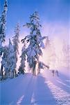 Skiers, Coast Mountains British Columbia, Canada