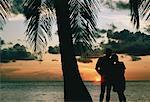 Silhouette de Couple debout sur la plage près de palmiers au coucher du soleil