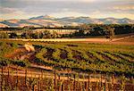 La Barossa Valley South Australia, Australie