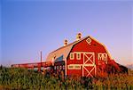 Doukhobar Barn Southern Alberta, Canada