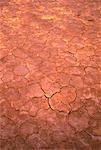 Close-Up of Cracked Earth in Desert