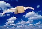 Package with Wings in Sky