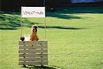 Girl with Lemonade Stand in Field