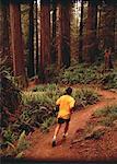 Back View of Man Running on Path Through Trees