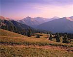 Mountains and Trees Colorado, USA